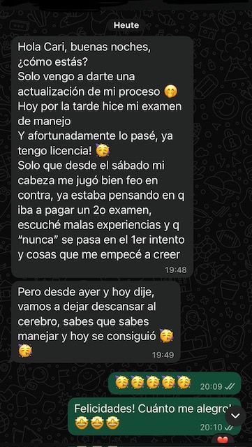 Licencia de conducir Alemania 1
