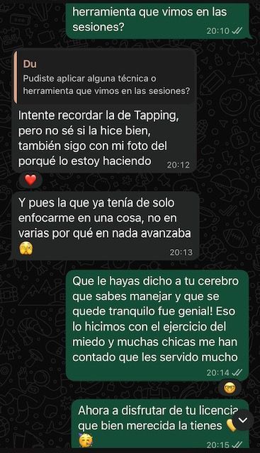 Licencia de conducir Alemania 2